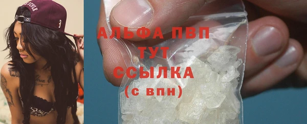 трава Белокуриха