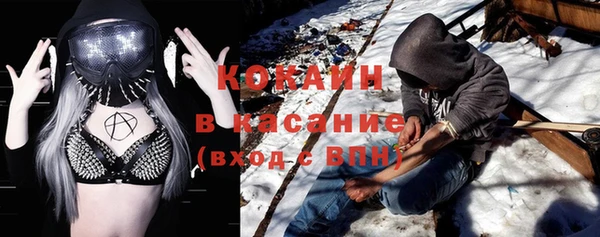 трава Белокуриха