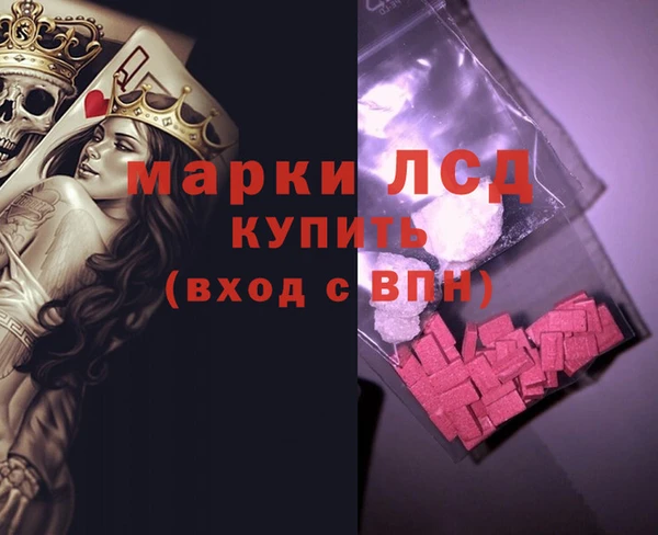 трава Белокуриха