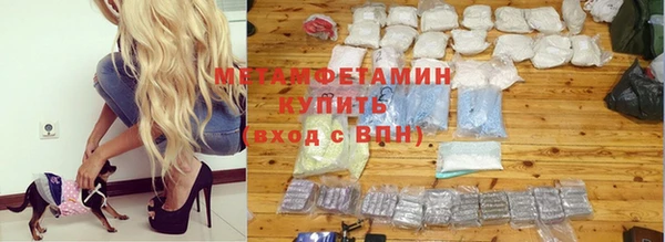 трава Белокуриха