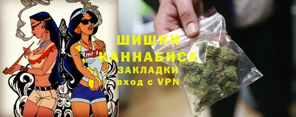 трава Белокуриха