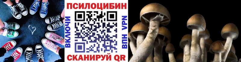 Псилоцибиновые грибы MAGIC MUSHROOMS  Мещовск 
